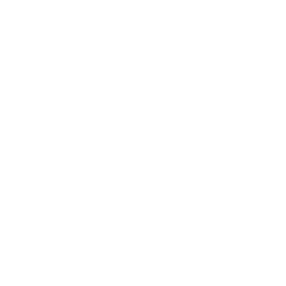Star Spangled Smiles